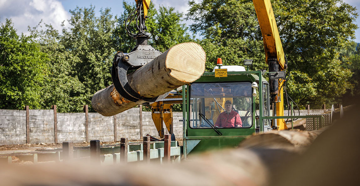 Buche, Eiche, Ahorn, Esche, Sägewerk, Laubholzsägewerk, Klimahalle, Vakuumkammer, Blockbandsäge