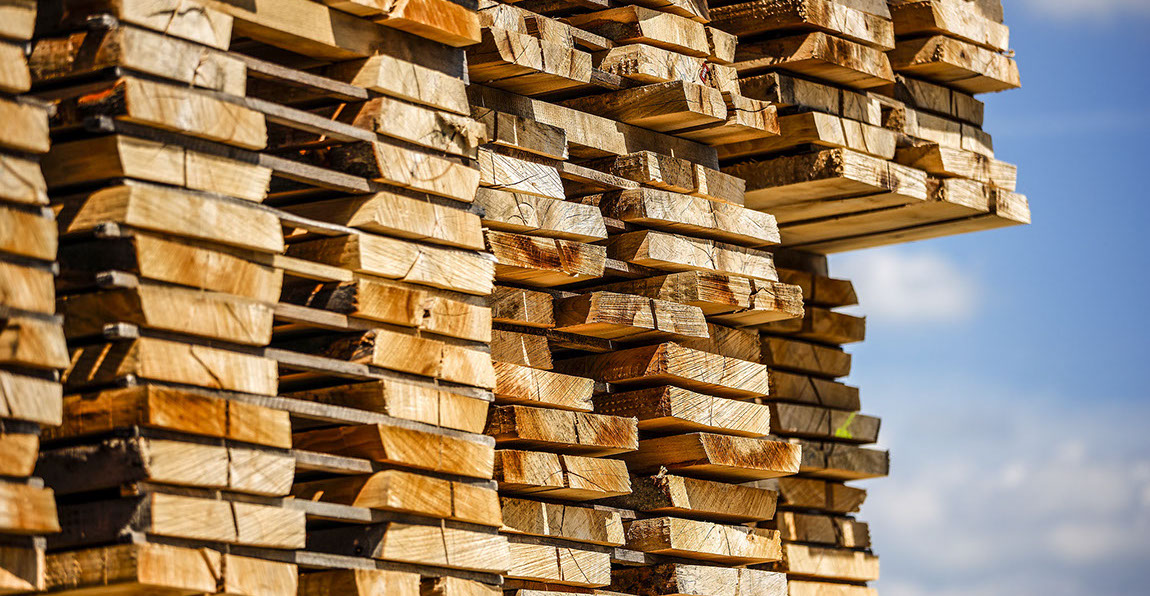 Buche, Eiche, Ahorn, Esche, Sägewerk, Laubholzsägewerk, Klimahalle, Vakuumkammer, Blockbandsäge