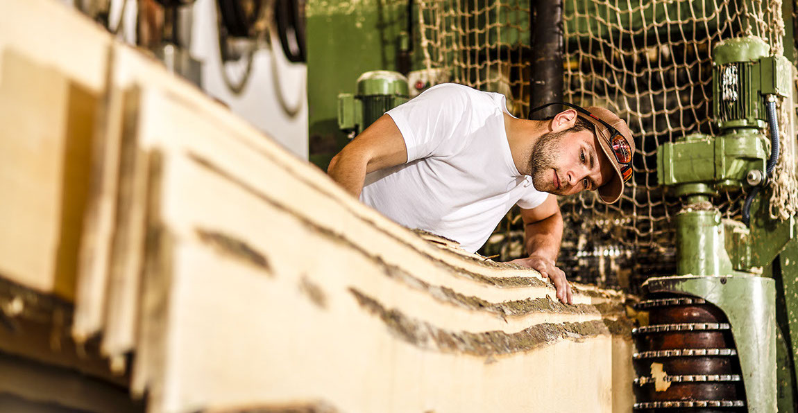 Buche, Eiche, Ahorn, Esche, Sägewerk, Laubholzsägewerk, Klimahalle, Vakuumkammer, Blockbandsäge