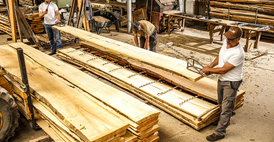 Buche, Eiche, Ahorn, Esche, Sägewerk, Laubholzsägewerk, Klimahalle, Vakuumkammer, Blockbandsäge